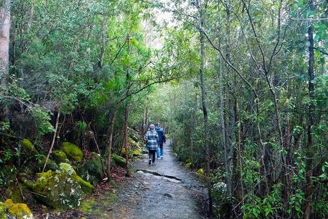 Kunanyi/Mt Wellington Tour & Hobart Hop-On Hop-Off Bus - Tourism TAS 5