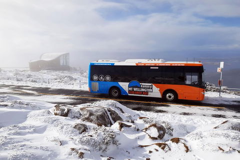 Kunanyi/Mt Wellington Tour & Hobart Hop-On Hop-Off Bus - Tourism TAS 4