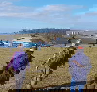 4-Day Hobart Adventure Tour Maria Island Cape Raoul Mount Field Cape Hauy - Hobart Tourism