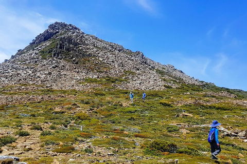 3-Day: Hobart Adventure Tour: Mount Field, Cape Hauy And Hartz Peak - Tourism TAS 0