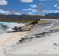 4X4 and Lunch Half Day Bicheno Coastal Mountain - Hobart Tourism