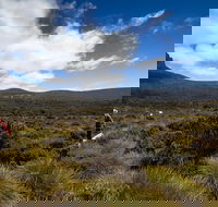 6-Day Overland Track PhotoTour - Hobart Tourism