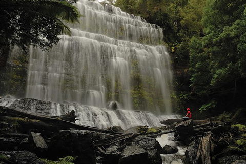 Guided Shore Excursion: Mt Field National Park Salmon Ponds Bonorong Wildlife - Hobart Tourism 0