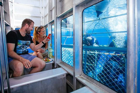 White Shark Tour With Optional Cage Dive From Port Lincoln - Tourism TAS 4