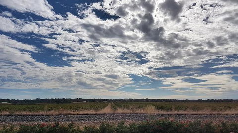 Barossa Valley Full-Day Tour From Adelaide With Maggie Beer Farm - Hobart Tourism 3