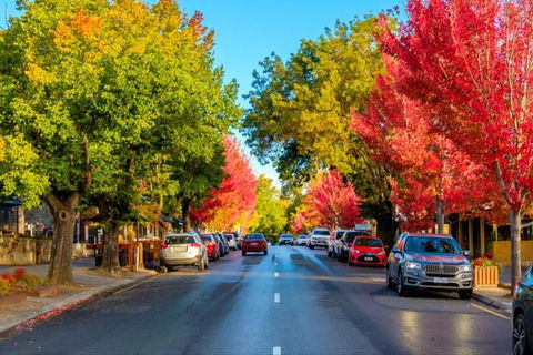 Barossa Valley Full-Day Tour From Adelaide With Maggie Beer Farm - Hobart Tourism 6