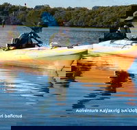 Adelaide Dolphin Sanctuary and Ships Graveyard Kayak Tour - Tourism TAS