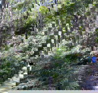 Self-Guided Waterfall Gully to Mount Lofty Hike from Adelaide - Tourism TAS