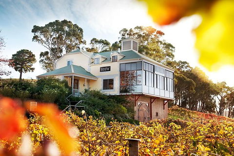 Adelaide Hills Private Cellar Secrets Experience From Adelaide Or Glenelg Or Barossa Valley - Tourism TAS 0