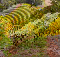 Private Adelaide Hills Wine Region Tour - Tourism TAS