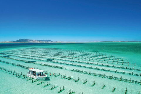 Coffin Bay Day Tour - A Taste Of Coffin Bay - Hobart Tourism 0