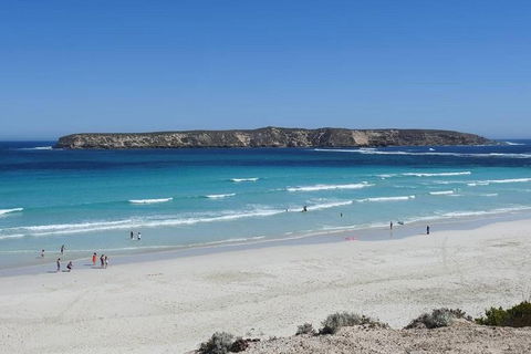 Coffin Bay Day Tour - A Taste Of Coffin Bay - Hobart Tourism 12