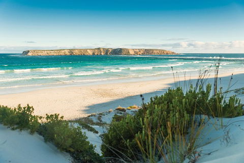 Coffin Bay Day Tour - A Taste Of Coffin Bay - Hobart Tourism 13