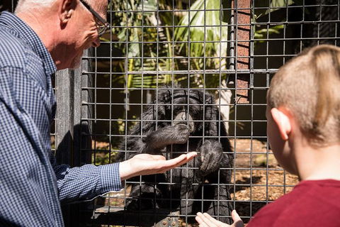 Adelaide Zoo Behind The Scenes Experience: Meet The Primates - Tourism TAS 1
