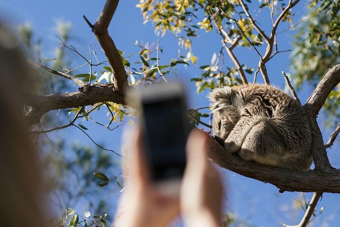 Port Lincoln SA Hobart Tourism