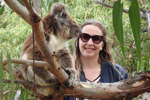 One Day Port Lincoln Tour - Tasting Eyre - Hobart Tourism 0
