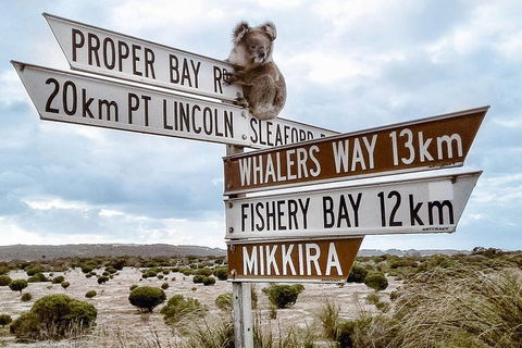 One Day Port Lincoln Tour - Tasting Eyre - Hobart Tourism 4
