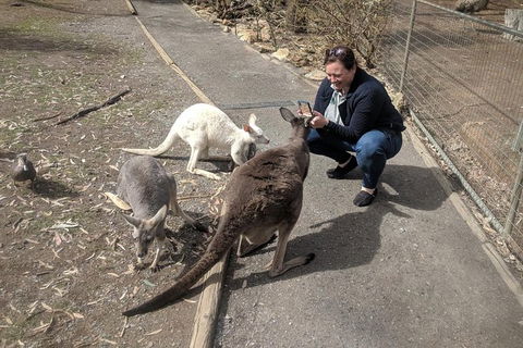 A Taste Of Adelaide And Hahndorf By Car Private Tour. - Tourism TAS 8