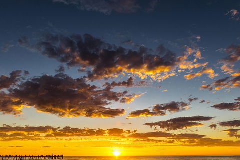 Adelaide Ocean Safari - Twilight Safari - Tourism TAS 1