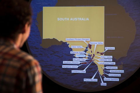 Australian Wine Discovery Tour With Tastings - Tourism TAS 3
