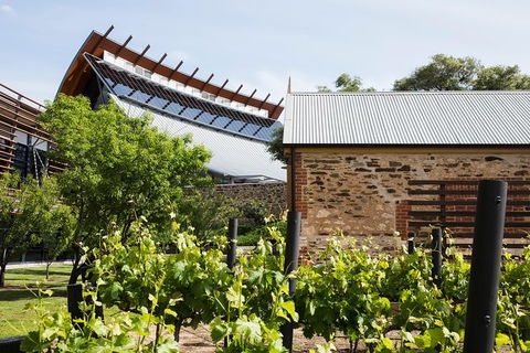 Australian Wine Discovery Tour With Tastings - Tourism TAS 6