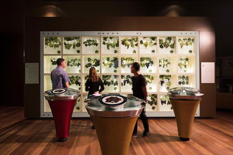 Australian Wine Discovery Tour With Tastings - Tourism TAS 5