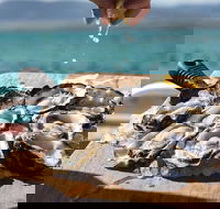 Experience Coffin Bay Short and Sweet Oyster Farm Tour - Hobart Tourism