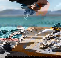 Experience Coffin Bay Oyster Farm and Bay Tour - Hobart Tourism