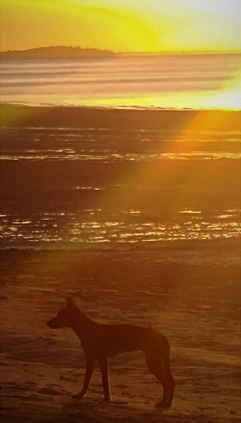 3-Day Fraser Island Resort Package - Tourism TAS 3