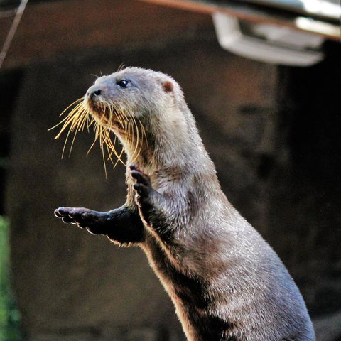 3-Day Fraser Island Resort Package - Tourism TAS 4