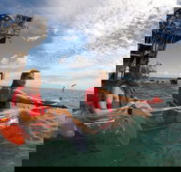 Moreton Island Day Trip Kayak Snorkel  Sandboard frm Brisbane or Gold Coast - Tourism TAS