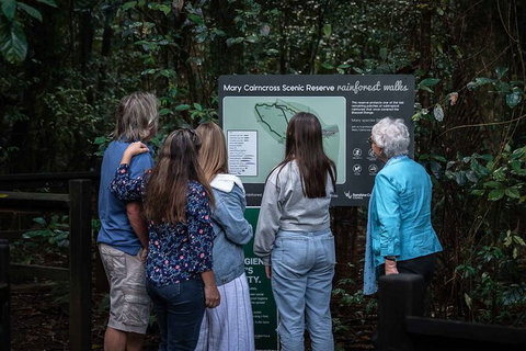 Sunshine Coast Hinterland And Noosa Day Trip From Brisbane Including Eumundi Markets And Ginger Factory - Tourism TAS 4