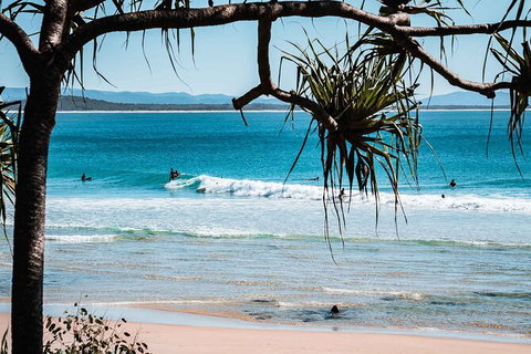 Sunshine Coast Hinterland And Noosa Day Trip From Brisbane Including Eumundi Markets And Ginger Factory - Tourism TAS 8