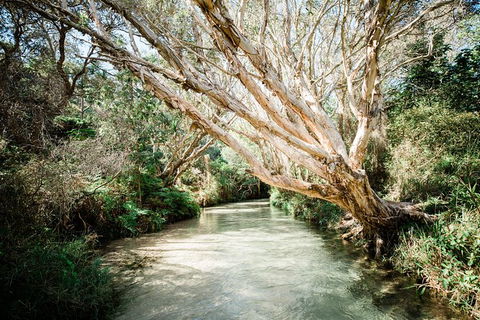 All-Inclusive 2-Day Fraser Island Tour - Tourism TAS 11
