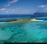 5-Day Fraser Island and Great Barrier Reef Tour - Tourism TAS