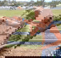 Camel Farm Deluxe Experience - Tourism TAS