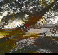 Brisbane Bike Tour - Tourism TAS