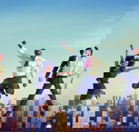 Luxury Movie World Transfers To and From Brisbane CBD Hotel for up to 4 ppl - Tourism TAS