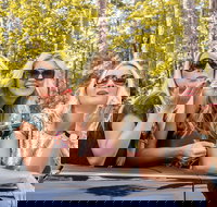 Luxury Brisbane Airport Transfers To and From Surfers Paradise for up to 11 Per - Tourism TAS