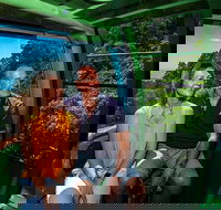 Skyrail Rainforest Cableway Day Trip from Palm Cove - Tourism TAS