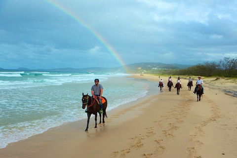 Rainbow Beach Horse Ride - Tourism TAS 1