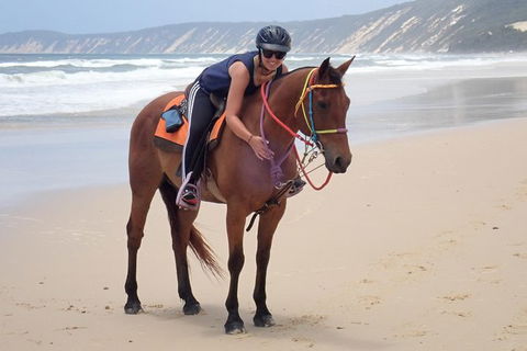 Rainbow Beach Horse Ride - Tourism TAS 2