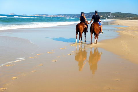 Rainbow Beach Horse Ride - Tourism TAS 3