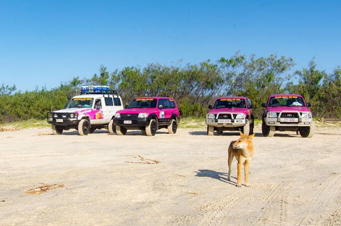 3 Day 4wd Tagalong Tour - Fraser Island - Hobart Tourism 0