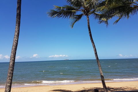 Airport Transfers Between Cairns Airport And Port Douglas - Tourism TAS 7