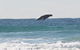 10-Day Surf Adventure From Brisbane To Sydney Including Coffs Harbour, Byron Bay And Gold Coast - thumb 6