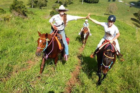 Country Day Ride From Mt Goomboorian With Rainbow Beach Horse Rides - Tourism TAS 0