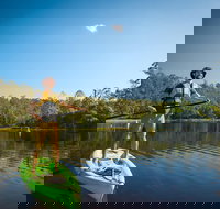 Walkabout Creek Adventures Stand Up Paddle Board Hire - Tourism TAS