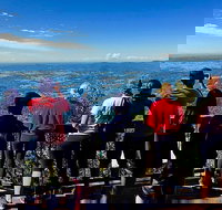 Springbrook Full Day Tour - Tourism TAS