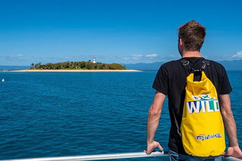 Half Day Low Isles Snorkelling Tour From Port Douglas - Tourism TAS 1